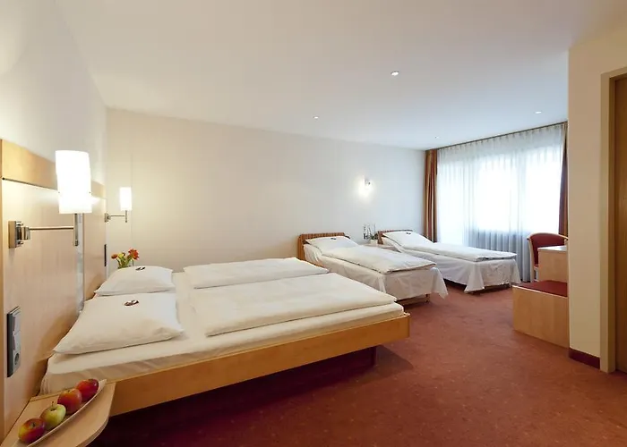 酒店 舒马赫加尼酒店 2*